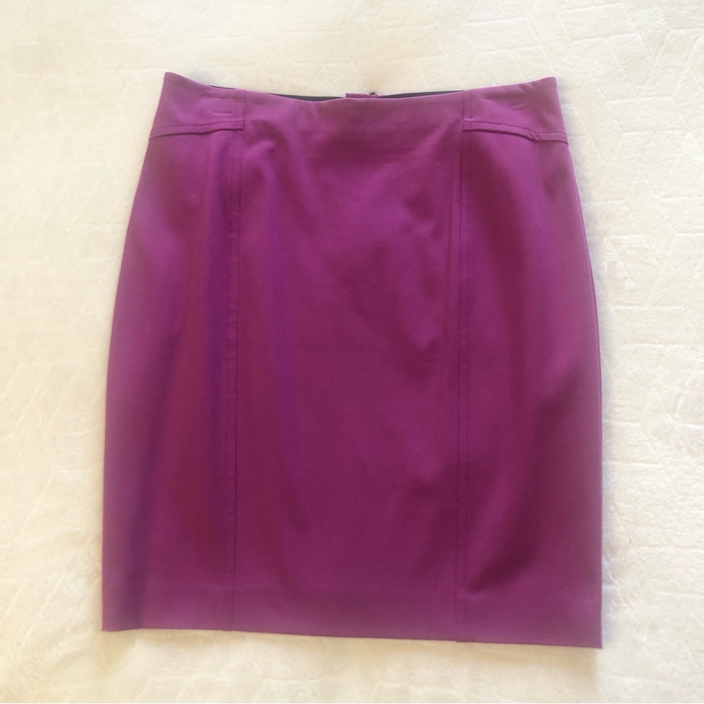 Ann Taylor Career Skirt size 8P NEW